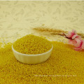 Good tast Yellow Millet hulled,dried for sale,millet price